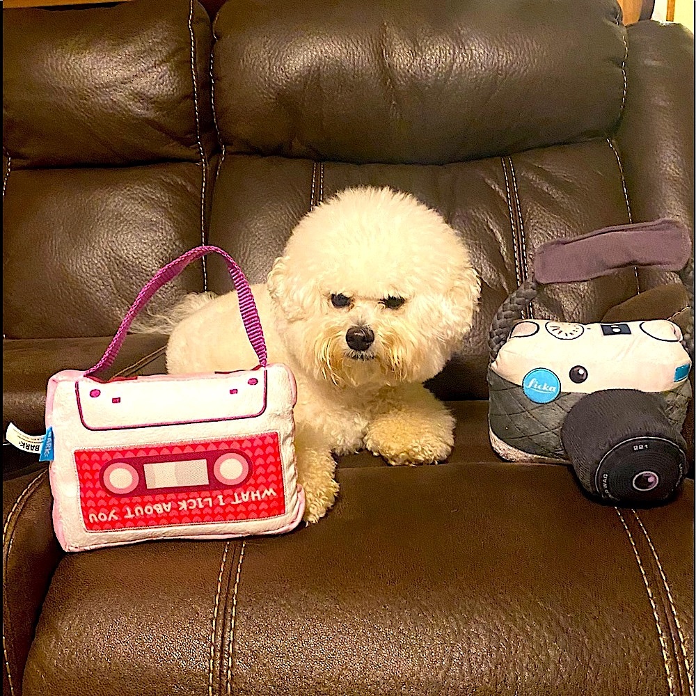 Dog toys 📷 🦴 - Picture 2 of 6